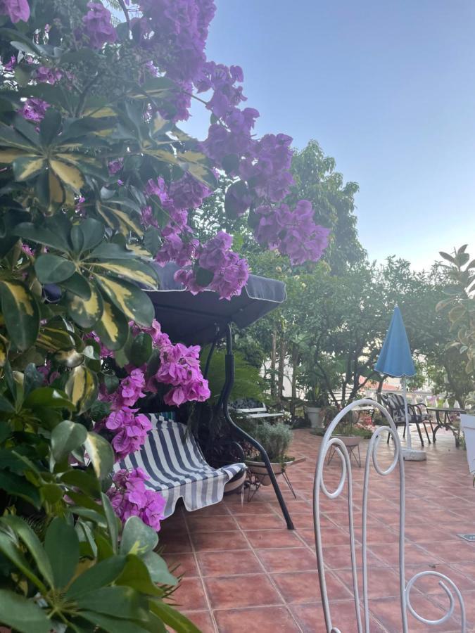 Apartmani Iva Becici المظهر الخارجي الصورة